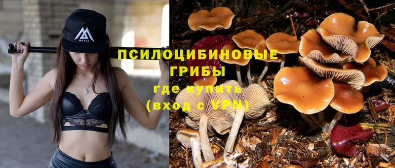 Псилоцибиновые грибы Magic Shrooms  Киреевск 